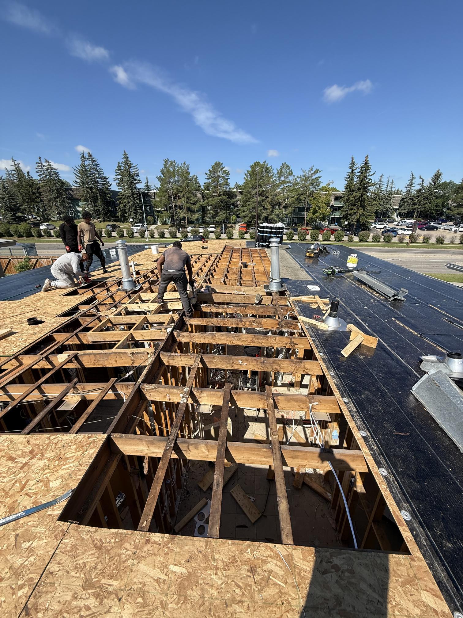 Calgary roofing crew replacing roof decking during a full tear-off