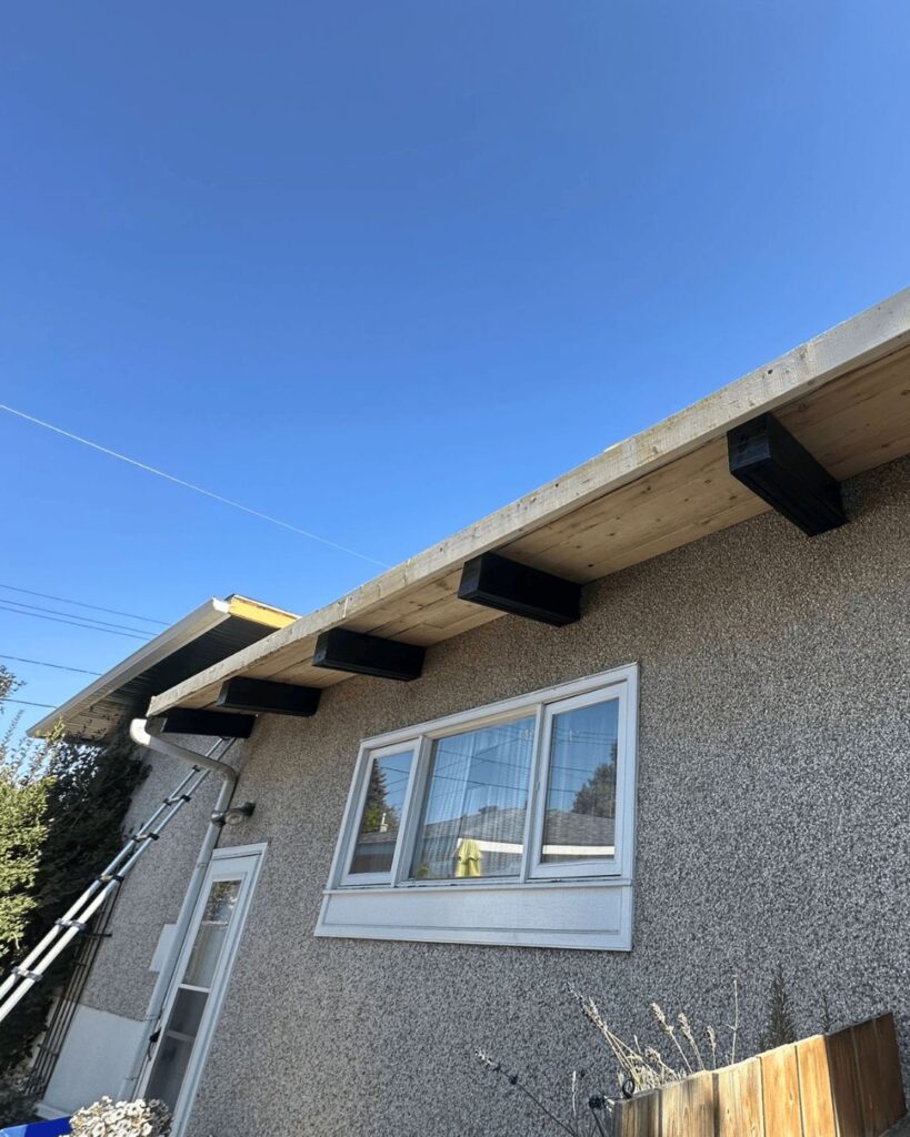 Exposed rafter tails and new fascia board during a replacement of a roof on a Calgary bungalow.