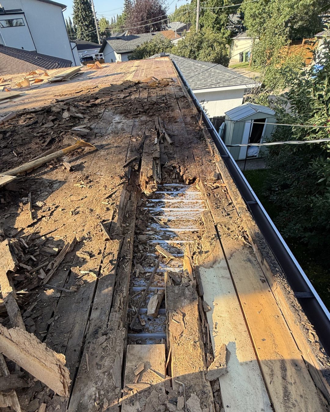 Rotted roof decking and moisture damage exposed during a tear-off in Calgary